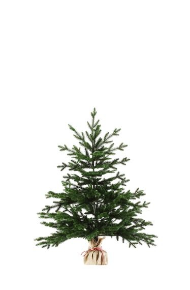 Искусственная ель Венгерская 60 см – компактная настольная мини-ёлка с густой хвоей