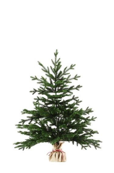 Искусственная ель Венгерская 90 см – пышная настольная зелёная ёлка с густыми ветвями